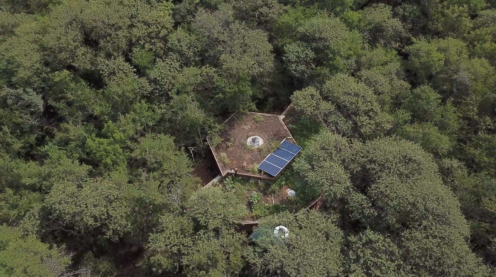 Arte y Tierra — diseño ecosistémico del territorio