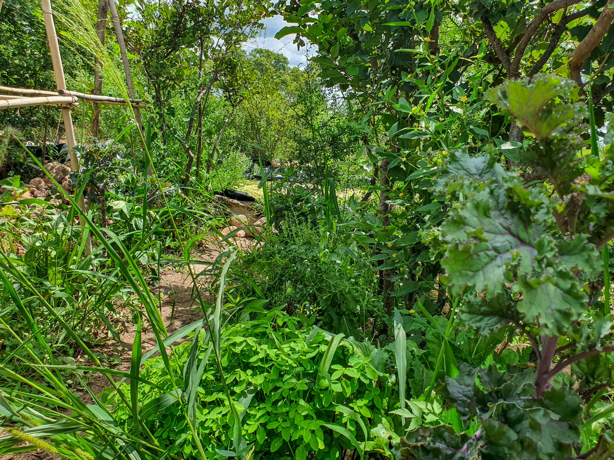 Producción Agroecológica