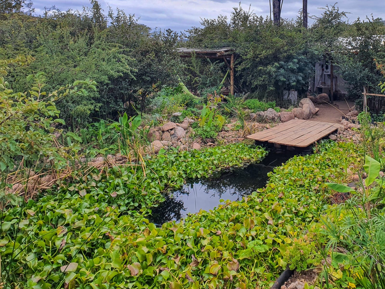 Ecohostel Tay Pichín — foto 4